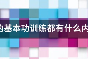 篮球训练基本动作有哪些内容呢视频